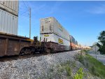 AOK 55479